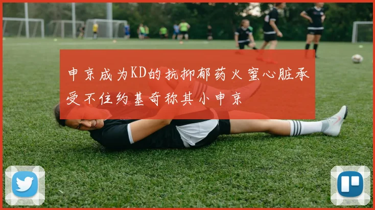 申京成为KD的抗抑郁药火蜜心脏承受不住约基奇称其小申京
