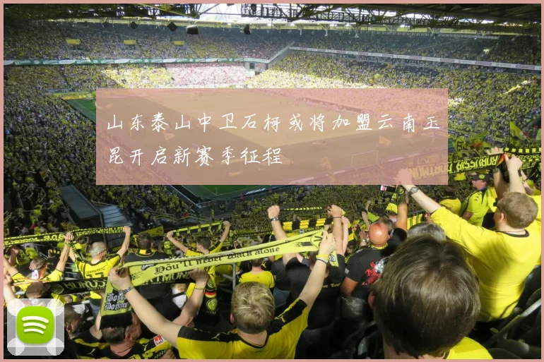 山东泰山中卫石柯或将加盟云南玉昆开启新赛季征程